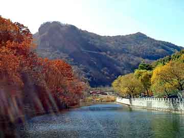 澳門一碼一碼100準(zhǔn)確，揭秘博彩之都的神秘面紗，澳門博彩揭秘，一碼一碼準(zhǔn)確率與神秘面紗下的真相