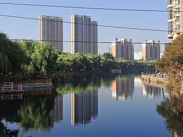 澳門一碼一碼100準(zhǔn)確，澳門一碼精準(zhǔn)預(yù)測
