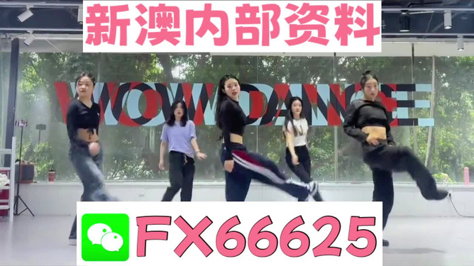 2004新澳精準資料免費提供，2004新澳精準資料免費分享