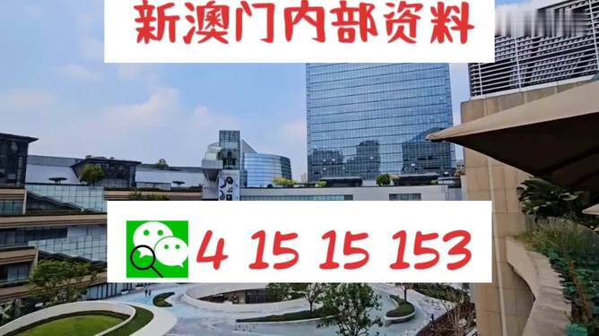新澳門免費資料大全新牌門，一網(wǎng)打盡最新信息，澳門最新免費資料大匯總，一網(wǎng)打盡新牌門最新信息
