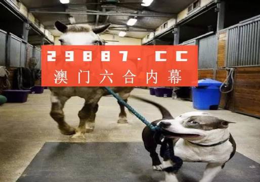 澳門一肖一碼一必中一肖同舟前進，澳門一肖一碼必中一精準預測，同舟前進共創(chuàng)輝煌