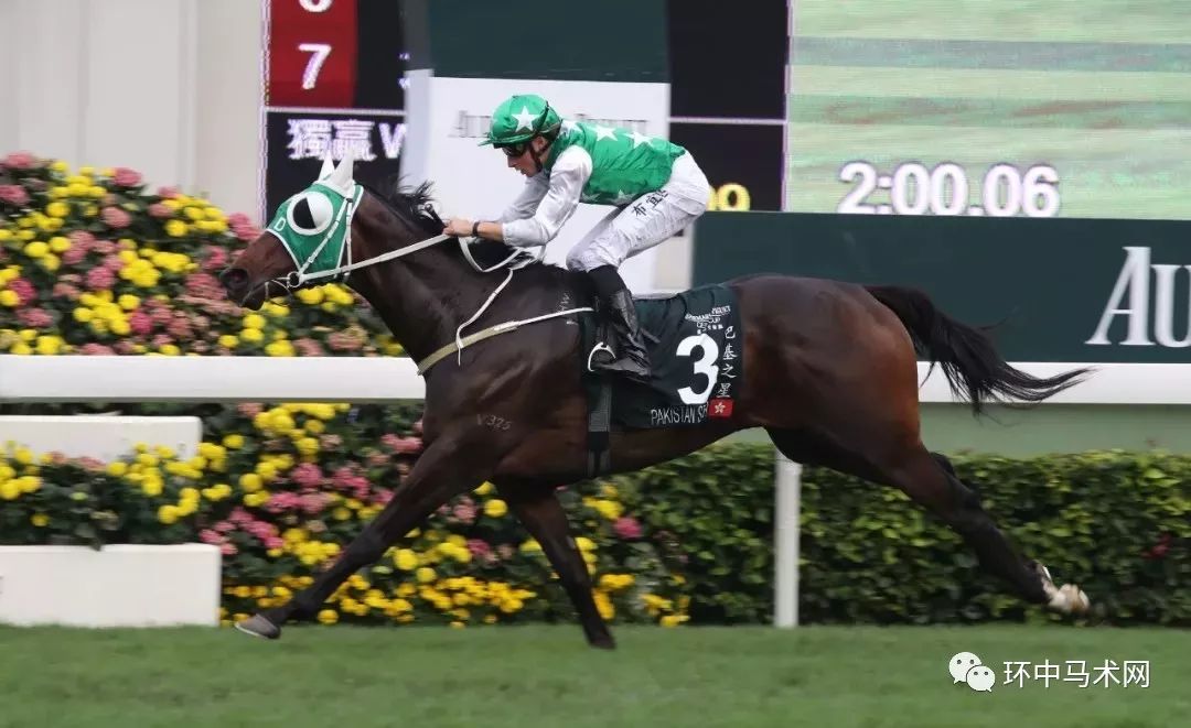 香港今晚開什么特馬，香港今晚特馬開獎(jiǎng)結(jié)果