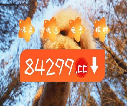 澳門天天免費精準(zhǔn)大全——探索澳門的無盡魅力，澳門無盡魅力探索大全，天天免費精準(zhǔn)指南