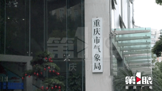 新奧門最精準(zhǔn)資料大全，新澳門最精準(zhǔn)資料大全匯總