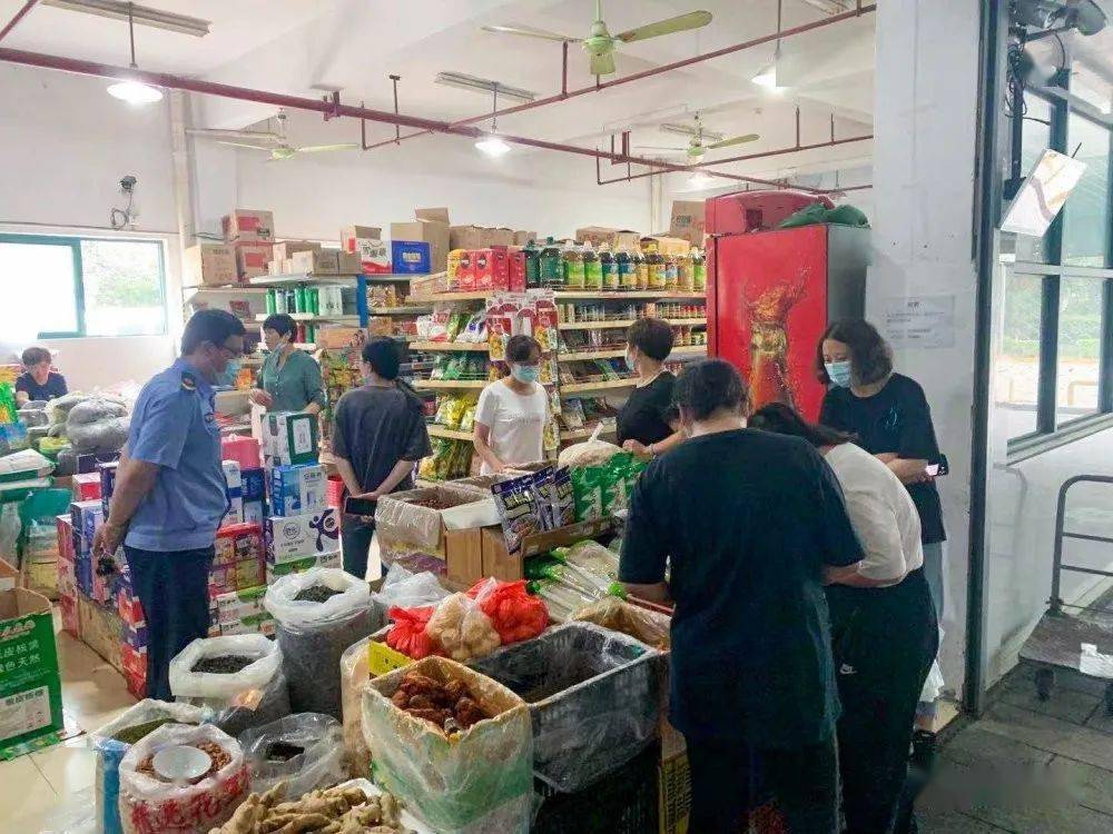 新澳好彩免費(fèi)資料查詢(xún)最新版本，全面解析與實(shí)用指南，新澳好彩免費(fèi)資料查詢(xún)最新版解析與指南
