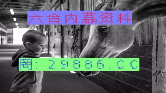馬會傳真與澳門管家婆的百分百信賴，馬會傳真與澳門管家婆的信賴之選