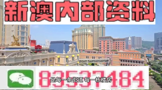 澳門最精準(zhǔn)正最精準(zhǔn)龍門，揭秘背后的秘密，澳門最精準(zhǔn)正龍門背后的秘密揭秘
