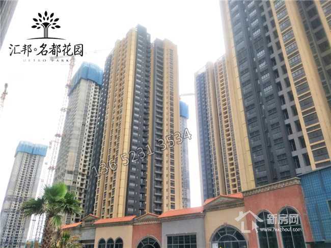 白小姐三期必出一肖種特，深度解析與預(yù)測，白小姐三期種特深度解析與預(yù)測，必出一肖揭秘！