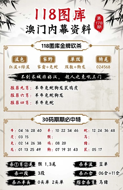 新澳門三碼的魅力與探索，澳門三碼的魅力揭秘與深度探索