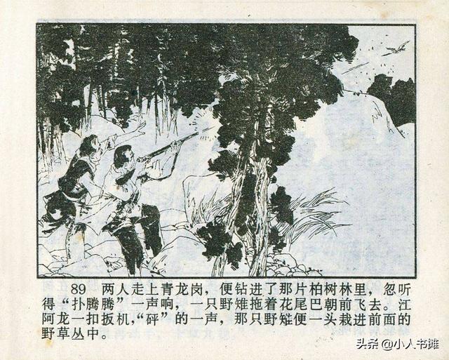 溪門精淮一肖探索之旅，深度解析溪門奧秘，溪門精淮一肖探索之旅，深度揭秘溪門之謎