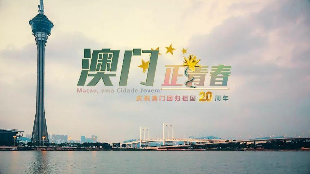 新奧門資料大全正版資料2025年免費下載，澳門正版資料大全2025年免費下載全新版