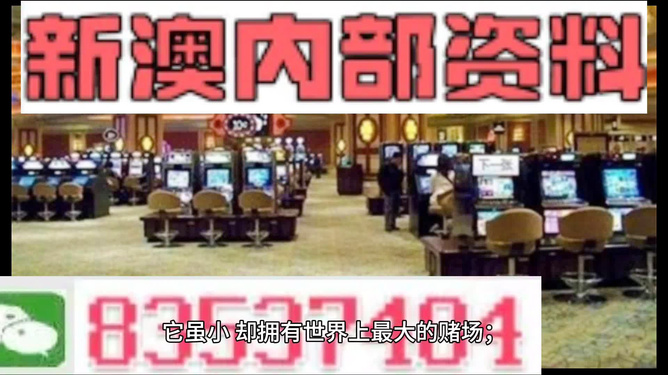 澳門(mén)正版精準(zhǔn)免費(fèi)大全，澳門(mén)正版精準(zhǔn)免費(fèi)大全資料匯總
