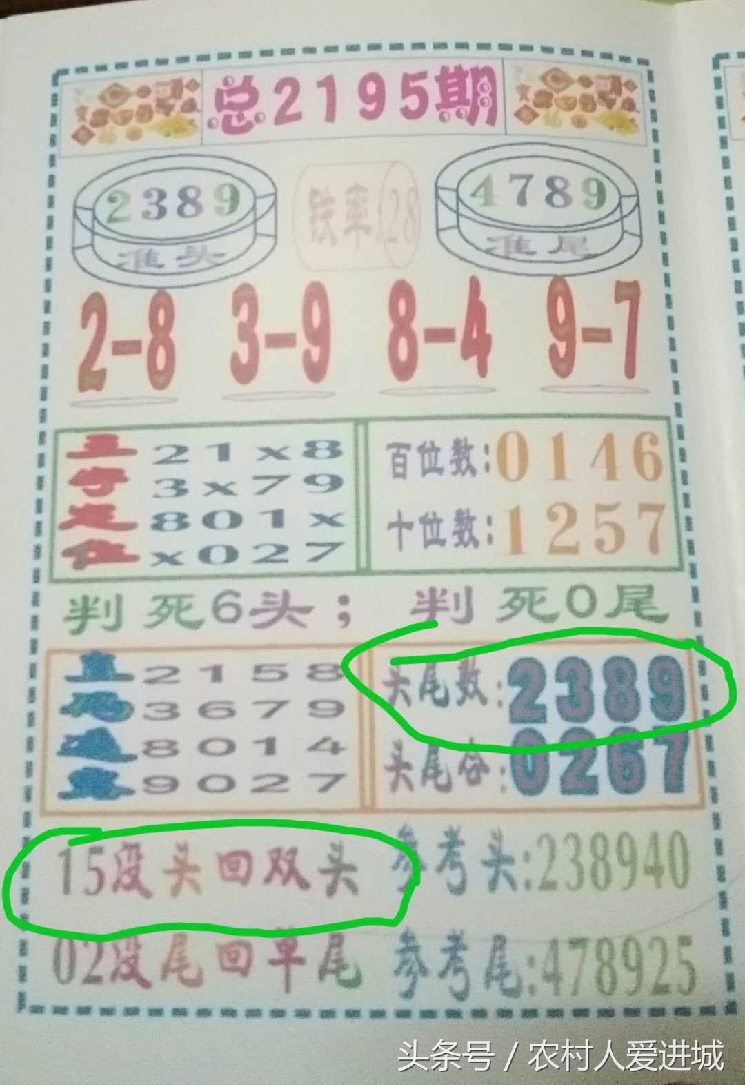 新澳門一肖中，揭秘期期準(zhǔn)的奧秘，揭秘新澳門一肖中，期期準(zhǔn)的奧秘所在