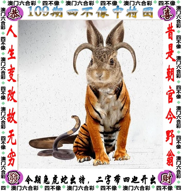 今晚必中一肖一碼四不像，揭秘彩票的神秘面紗，揭秘彩票神秘面紗，今晚必中一肖一碼四不像