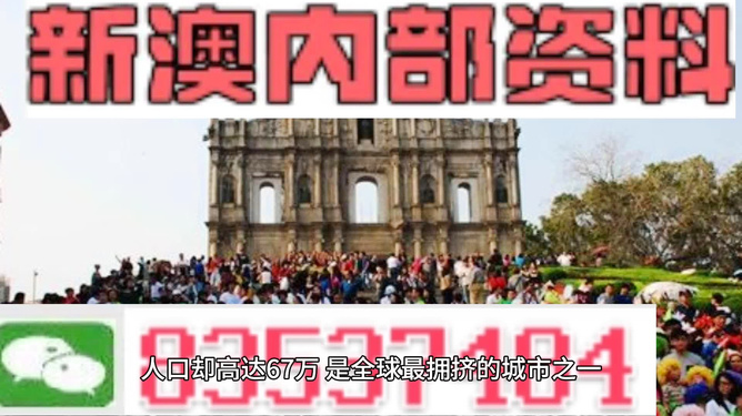 澳門免費精準(zhǔn)資料，探索與解析，澳門免費精準(zhǔn)資料解析與探索