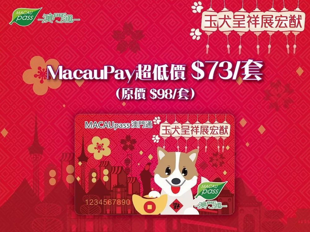 澳門正版資料大全資料生肖卡，澳門正版資料大全，生肖卡全收錄
