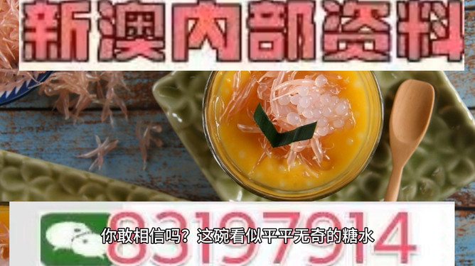 探索未來，聚焦澳門特馬之夜的神秘魅力，聚焦澳門特馬之夜的神秘魅力，探索未來之旅