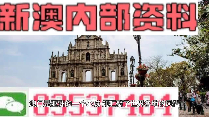 澳門今晚一肖必中特，澳門今晚一肖必中特，揭秘幸運之夜的神秘面紗