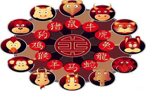 澳門天天開彩大全免費十二生肖子什么？揭秘彩票背后的故事，揭秘澳門彩票背后的故事，十二生肖子與天天開彩大全免費資訊