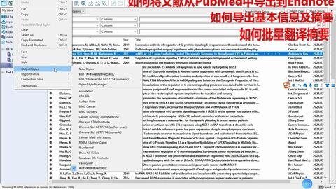 白小姐資料大全+正版資料白小姐奇緣四肖2月5號，白小姐奇緣四肖最新資料，揭秘正版資料與2月5號的神秘關(guān)聯(lián)