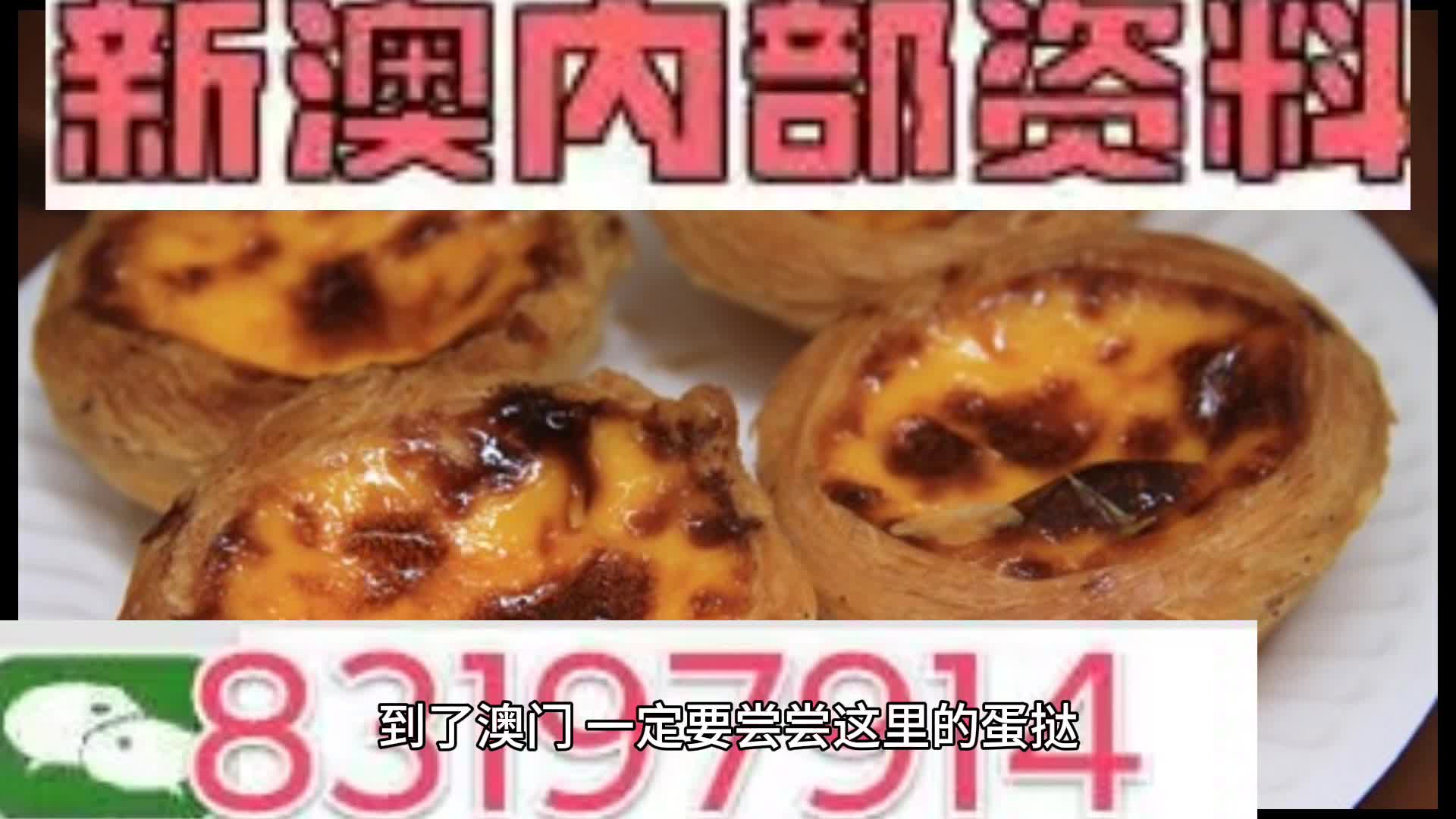新澳門資料大全正版資料?奧利奧斗地主，澳門正版資料大全與奧利奧斗地主，一網(wǎng)打盡