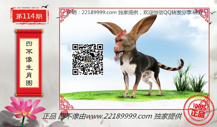 四不像正版資料查看，四不像正版資料詳查