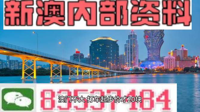 澳門最準(zhǔn)最快的免費(fèi)的233期，揭秘真相與實用指南，澳門233期揭秘真相與實用指南，最準(zhǔn)最快的免費(fèi)攻略