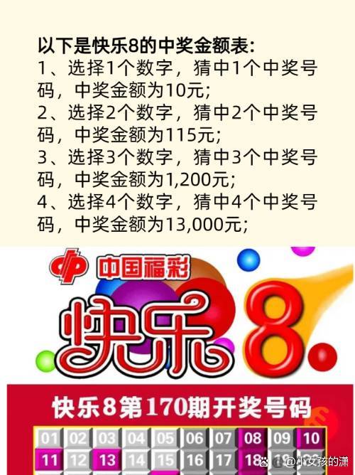 四肖八碼中大獎究竟多少錢？揭秘彩票背后的秘密！，揭秘四肖八碼彩票大獎金額，揭開彩票背后的神秘面紗！