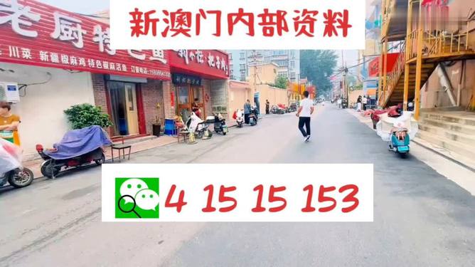2004新澳門天天開好彩大全大，回顧與解析，澳門彩票回顧與解析，揭秘2004年天天開好彩內(nèi)幕