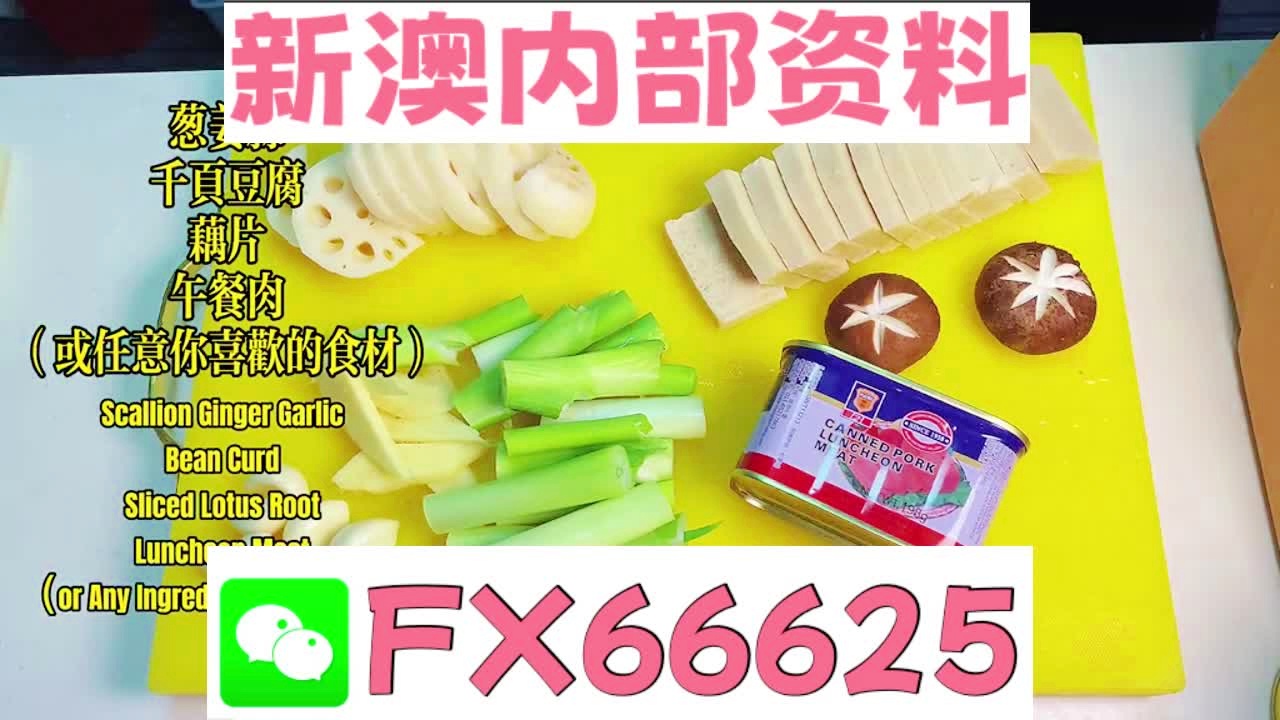 2025新澳精準(zhǔn)資料大全解釋，2025新澳精準(zhǔn)資料大全詳解