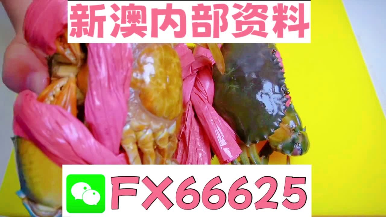 2025新澳精準(zhǔn)資料大全解釋，2025新澳精準(zhǔn)資料大全詳解