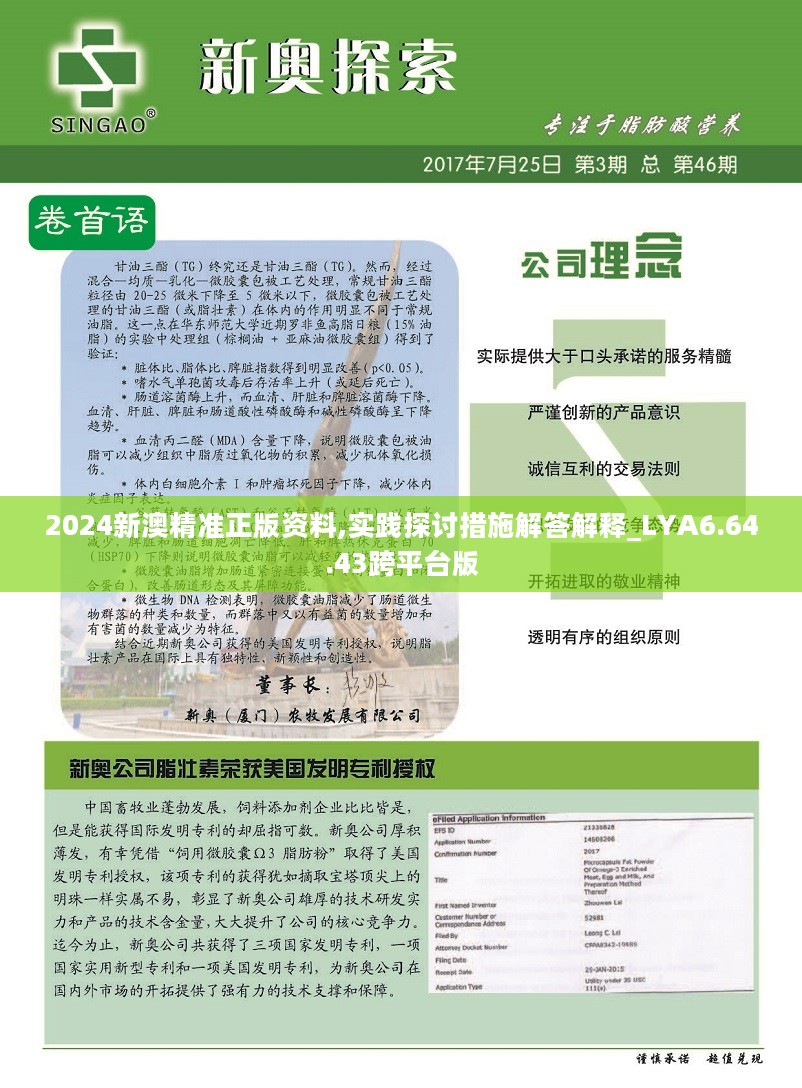 新澳2025資料詳解，新澳2025資料全面解析