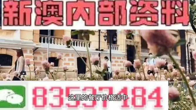 澳門最精準免費資料大全旅游團，一站式體驗澳門的魅力之旅，澳門魅力之旅，一站式精準免費資料大全旅游團
