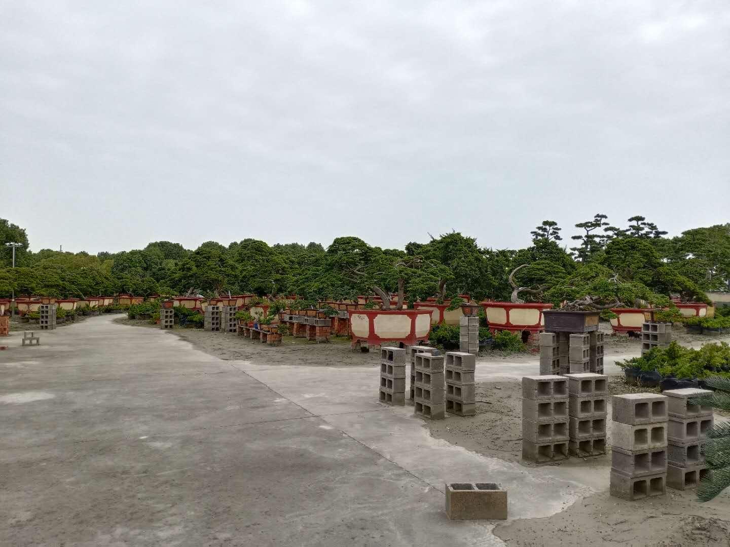 推薦