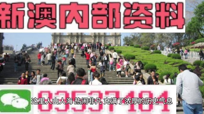 澳門最精準(zhǔn)免費(fèi)資料大全旅游團(tuán)——探索澳門魅力的絕佳選擇，澳門旅游團(tuán)，探索澳門魅力的精準(zhǔn)免費(fèi)資料大全