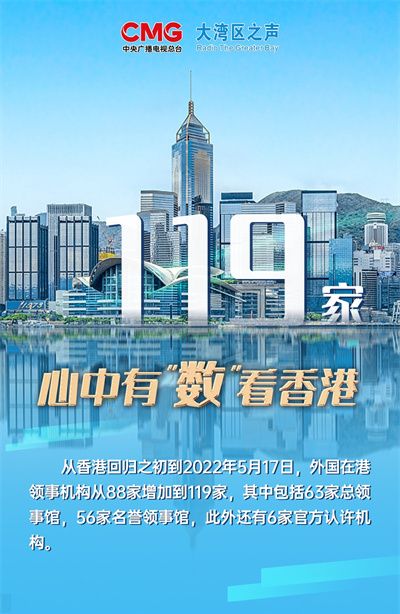 香港資料大全，正版資料下載手機(jī)2025年，香港資料大全2025年正版手機(jī)下載指南