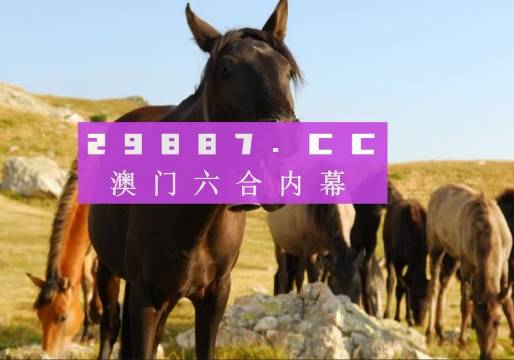 澳門管家婆-肖一碼，澳門管家婆肖一碼精選