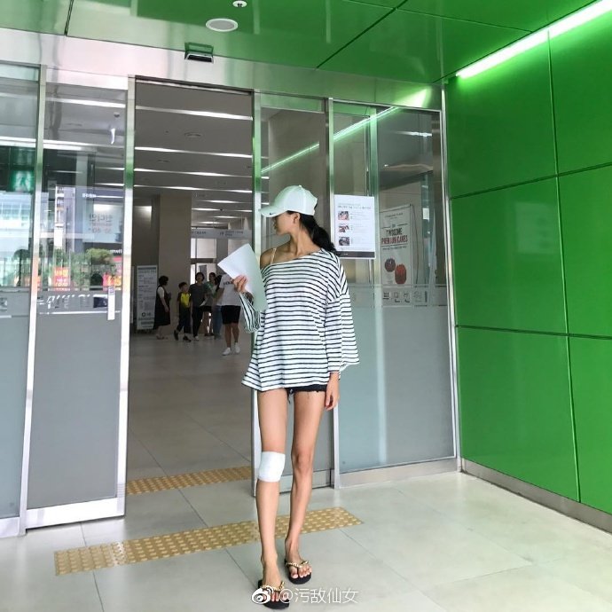 澳門天天彩每期自動更新大全，澳門天天彩最新自動更新大全