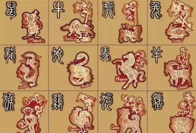 揭秘溜干二凈背后的生肖秘密，揭秘生肖背后的溜干二凈秘密