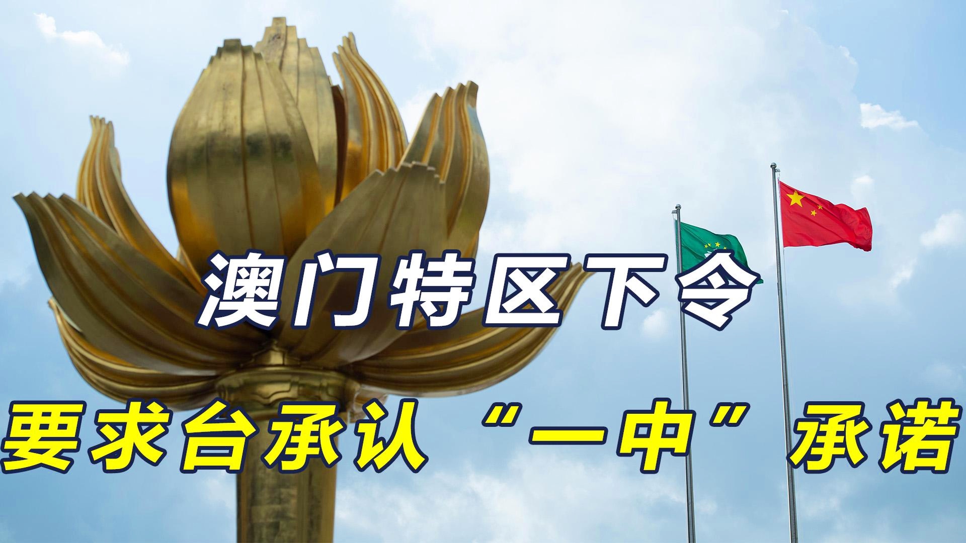 澳門一碼一肖一特一中管家婆，揭秘神秘面紗下的真相，澳門神秘管家婆揭秘，一碼一肖一特一中的真相探索