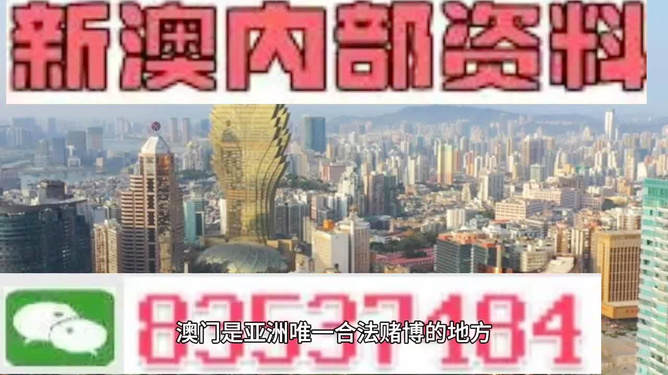2025年澳門免費(fèi)資料精準(zhǔn)大全，澳門免費(fèi)資料精準(zhǔn)大全（2025版）
