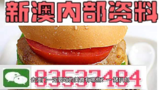 新門內(nèi)部資料精準(zhǔn)大全，一網(wǎng)打盡所有你需要知道的資訊，新門內(nèi)部資料大全，一網(wǎng)打盡所有必備資訊