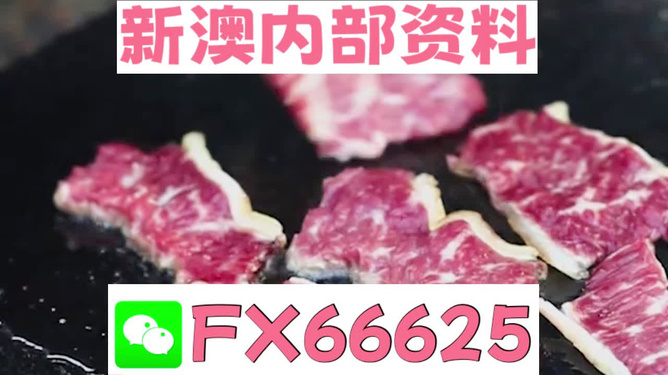 新奧精準(zhǔn)資料免費(fèi)提供，新奧精準(zhǔn)資料大全，免費(fèi)獲取的資料匯總