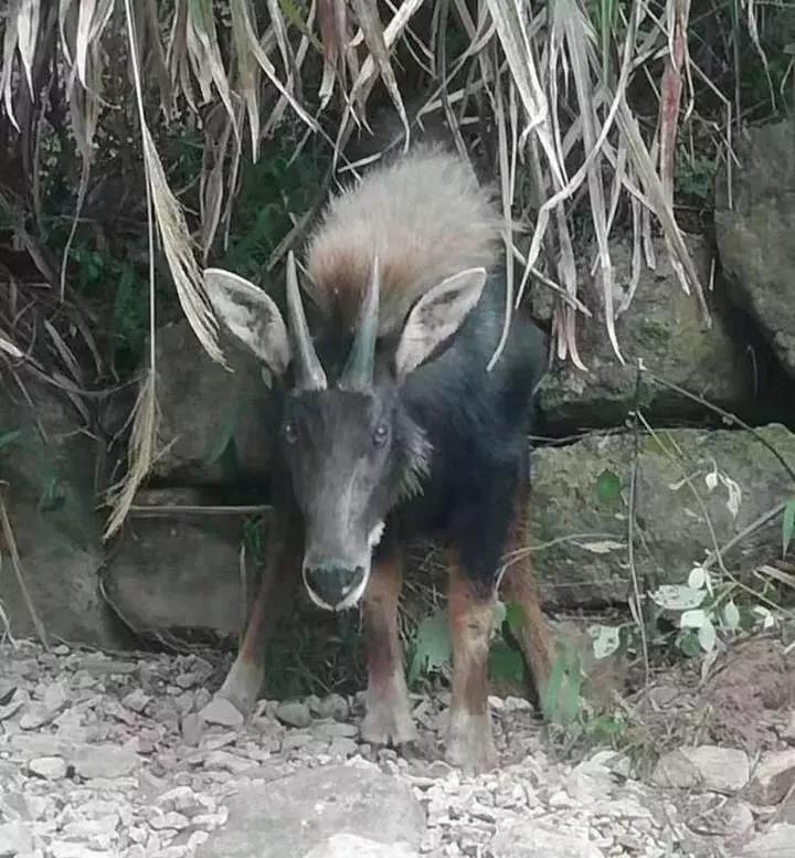 第68頁