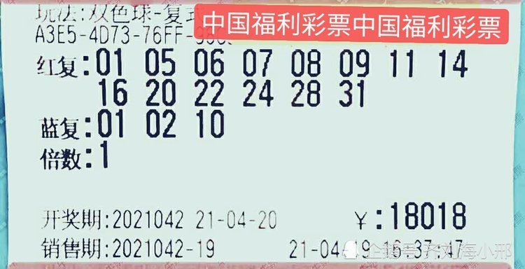 2025澳門特馬今晚開什么碼