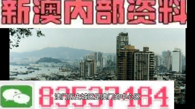 新澳門免費資料大全在線查看，澳門免費資料在線查看大全